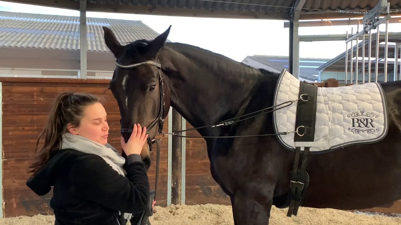 Elien test de Quick-lunge