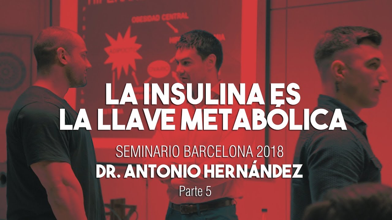 LA INSULINA ES LA LLAVE METABÓLICA | Seminario Dr. Antonio Hernández Barcelona Parte 5