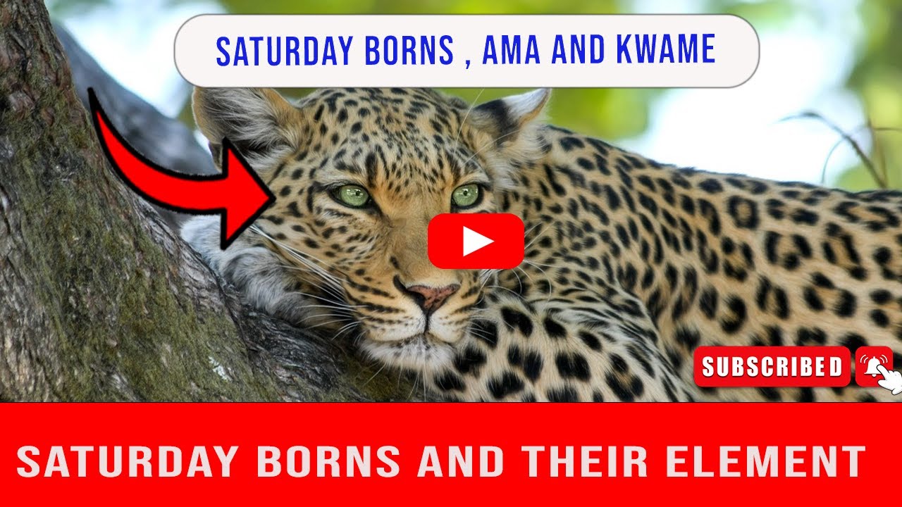Saturday Born's And Their Element