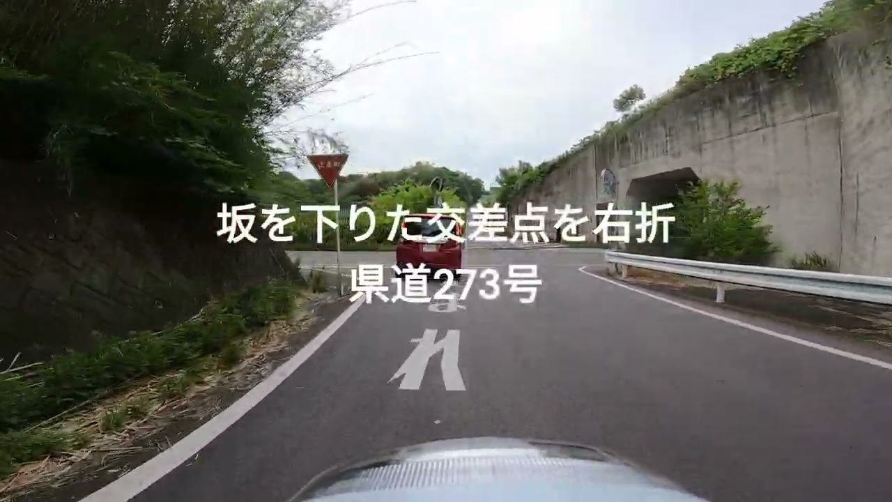 【知多広域農道】で羽豆岬まで　(満作道⇒味覚の道⇒ふるさとロード⇒すいせんロード）
