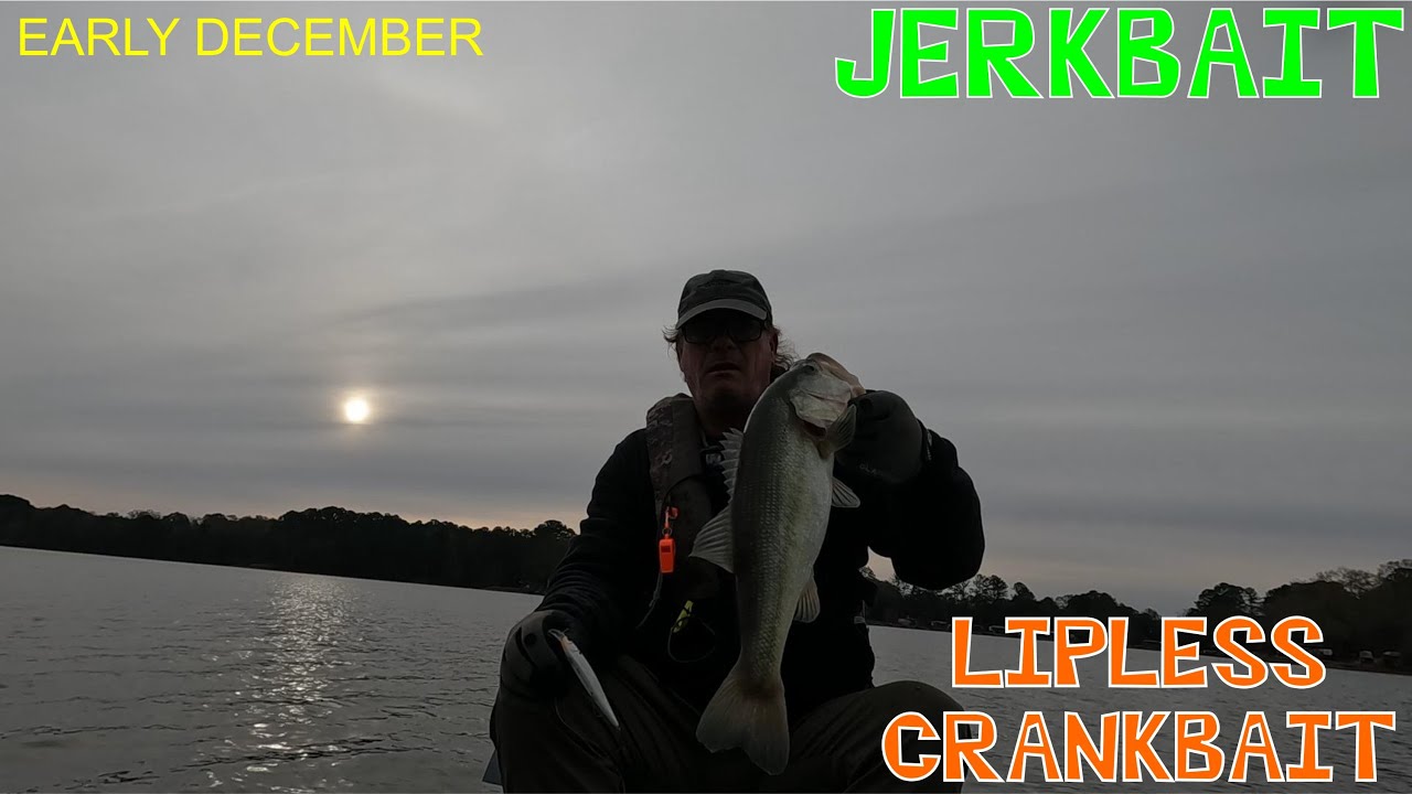 Early Winter Jerkbait / Lipless Crankbait Fishing Cold & Windy Conditions
