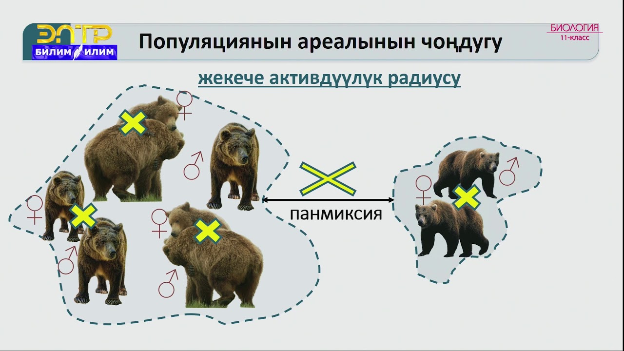 11-класс | Биология | Популяция жана анын структурасы, динамикасы