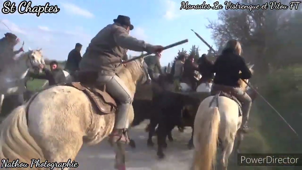 St Chaptes Bandido PO+ Retour de Longues le 03/04/22