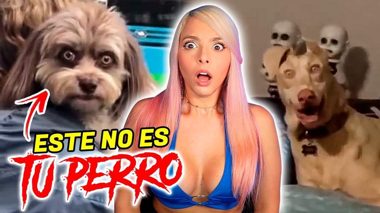 ESE NO ES TU PERRO... ES UN SKINWALKER💀​| Jenny Devil😈