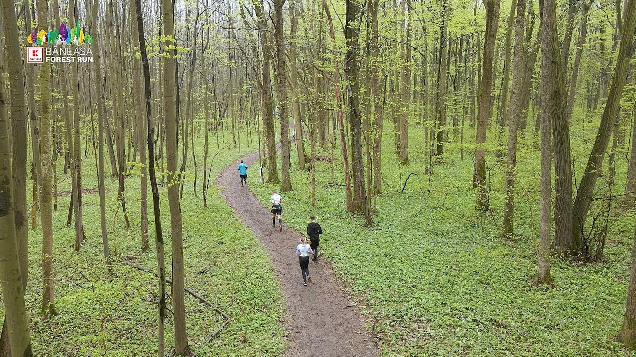 Baneasa Forest Run 02 Aprilie 2023