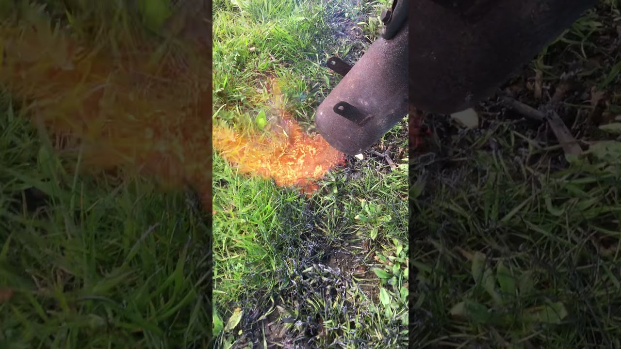 Flame thrower weeding