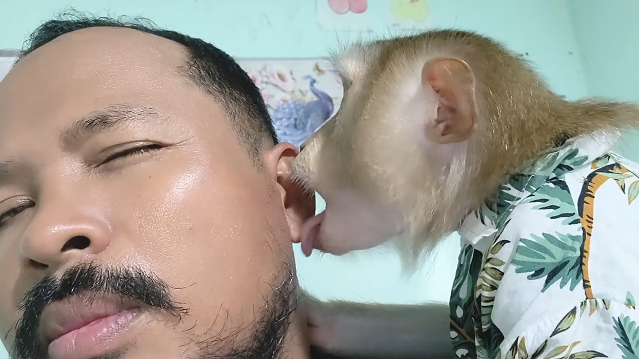 Dr. LYLY Straight SPA Highly Tongue & Care Deeply Grooming ASMR Sensitive