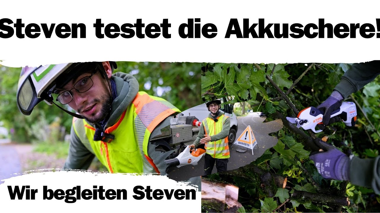 Baumpflege im Mühlenbecker Land 🌳 | Stihl ASA 20 im Härtetest! ⚙️🔥
