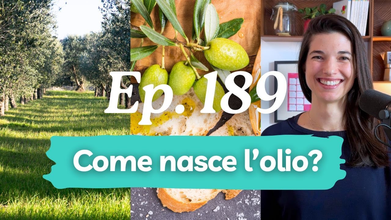 Dall’ulivo alla bruschetta | Viaggio nell’Italia dell’olio d'oliva