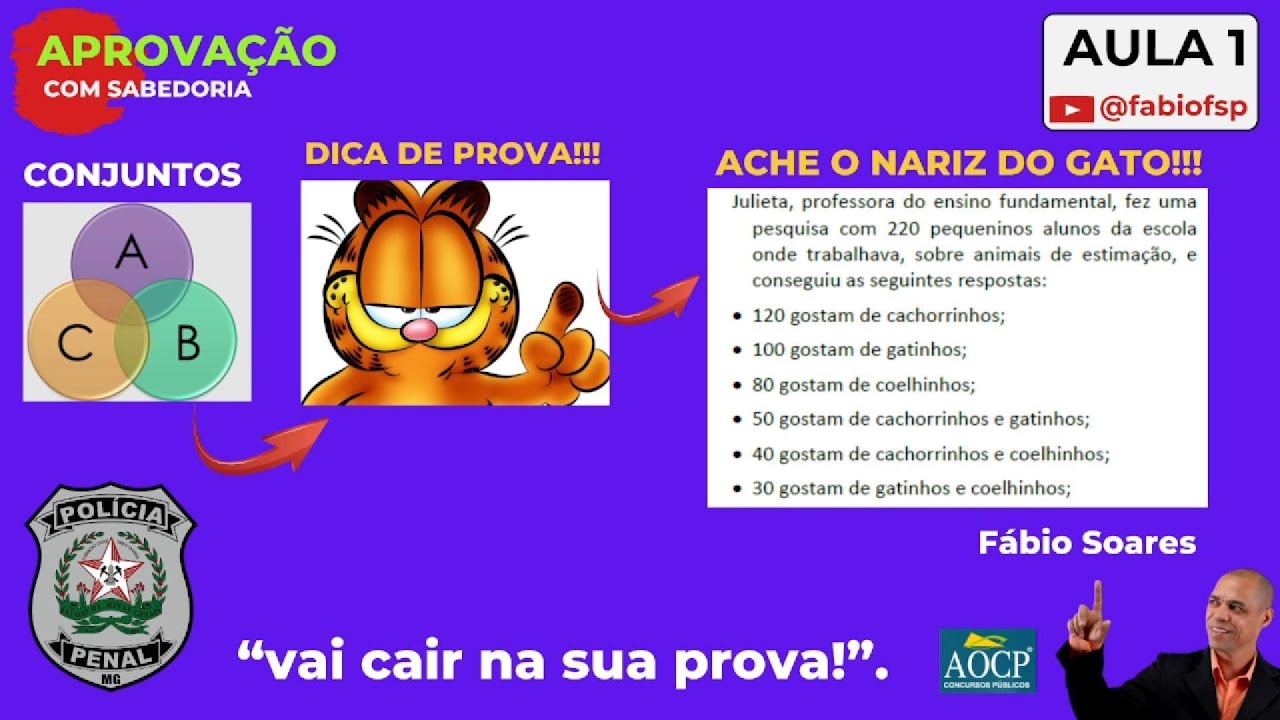 AULA 1   RLM   PPMG   CONJUNTO