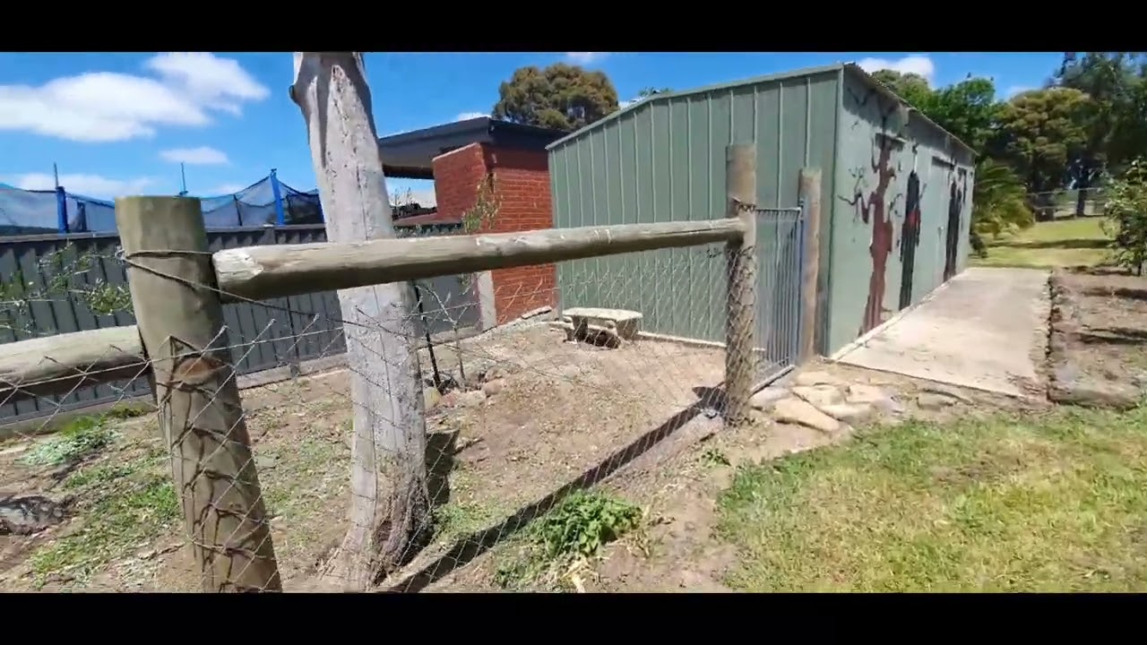 From jungle despair to OCD manicured transformation.