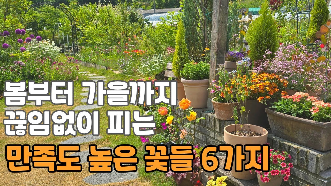 봄부터 가을까지 오랫동안 꽃이 피는 만족도 높은 꽃 6가지 소개