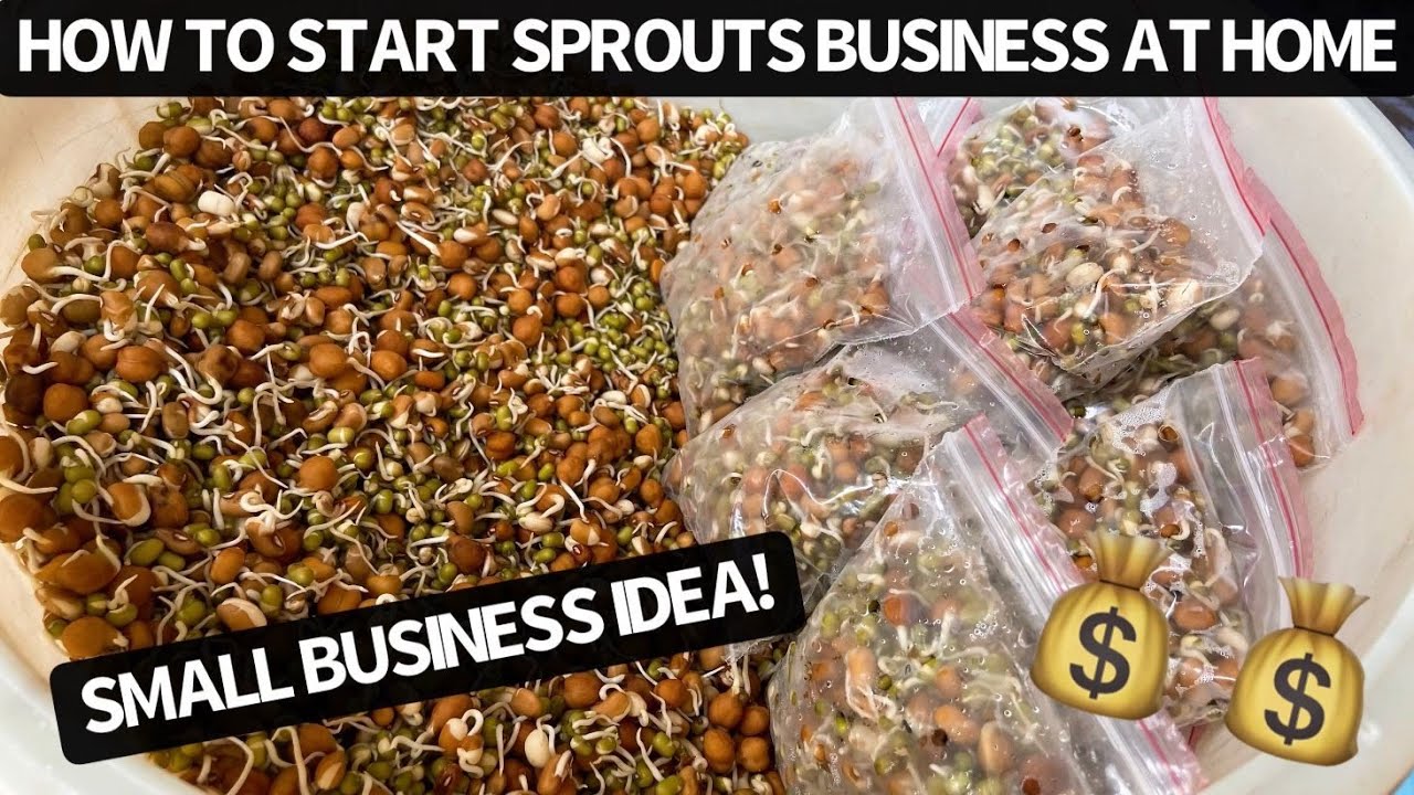 SMALL BUSINESS IDEA | BUSINESS IDEA | SPROUTS BUSINESS IDEA