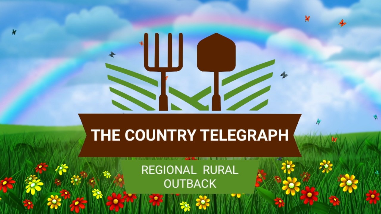 Australia&rsquo;s Olive Industry & AI Bushfire detection on The Country Telegraph.
