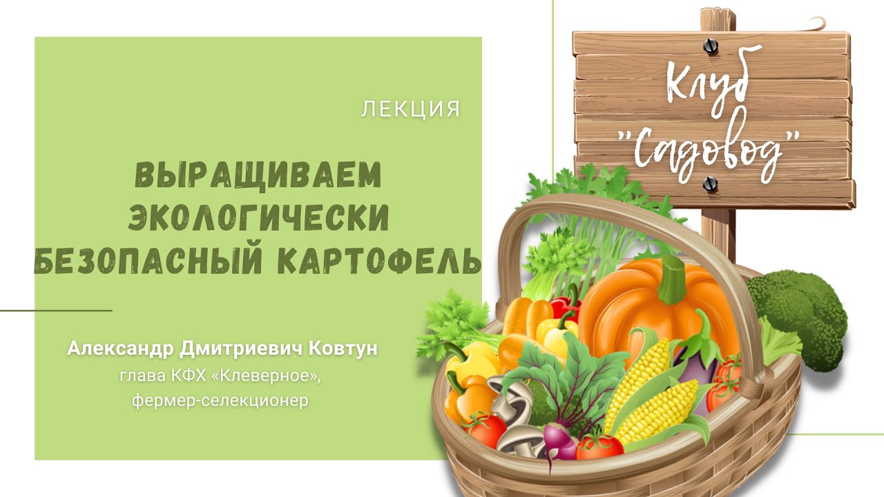 Лекция «Выращиваем экологически безопасный картофель»