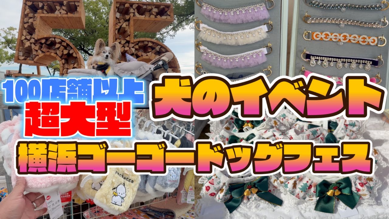 【犬イベント】100店舗超！神奈川最大級「横浜ゴーゴードッグフェス」初日徹底レポート！[11/1～13]🐾