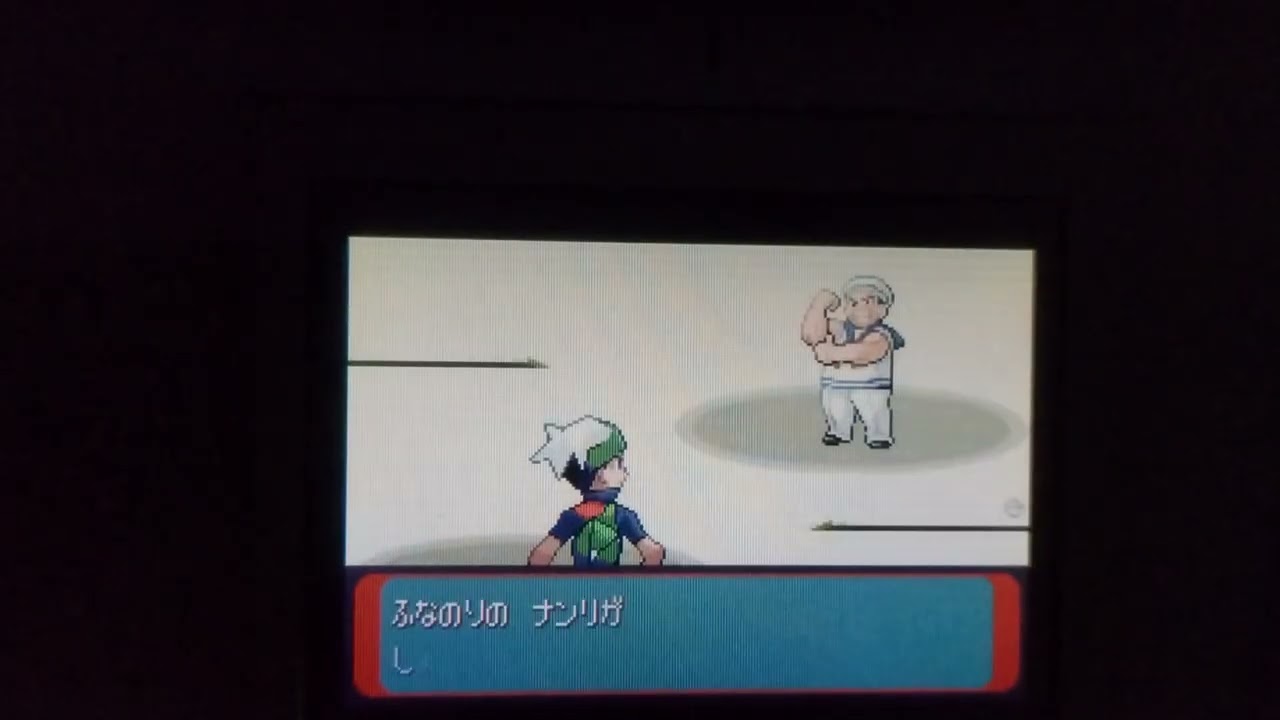 ポケットモンスター エメラルド バトルドーム(23周目の3試合目)