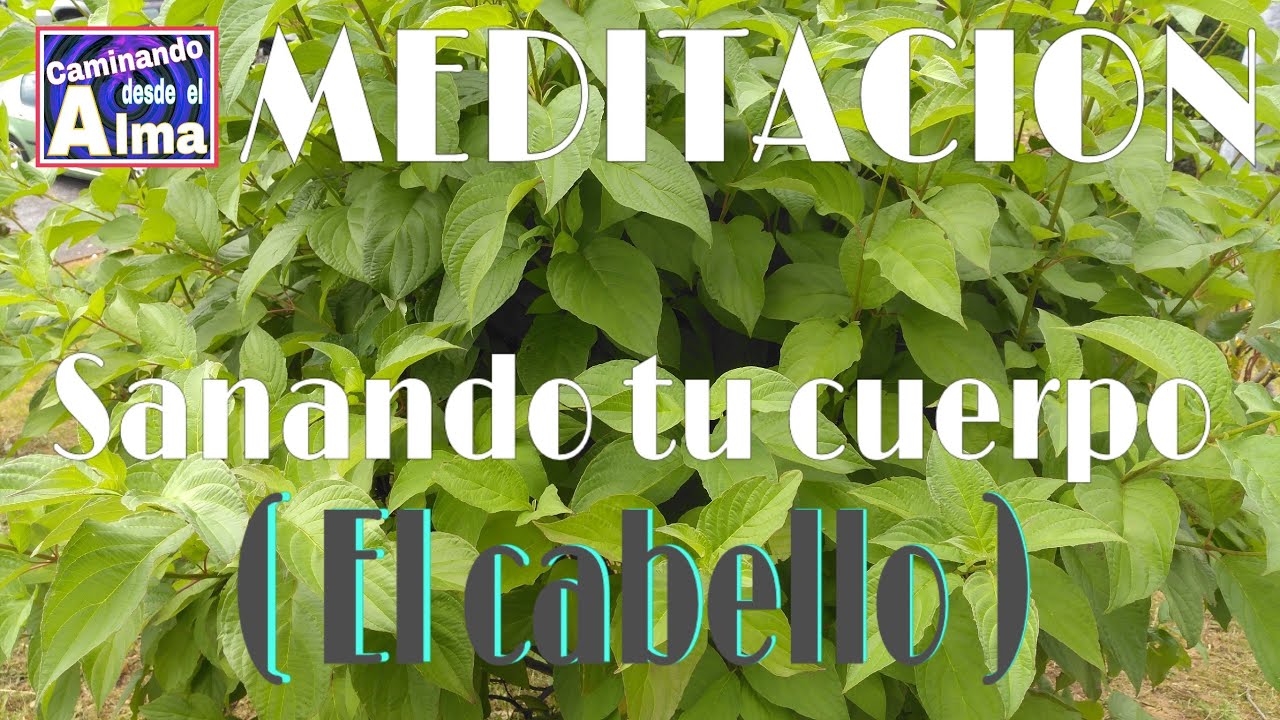 MEDITACIÓN. El cabello (Sanando tu cuerpo )