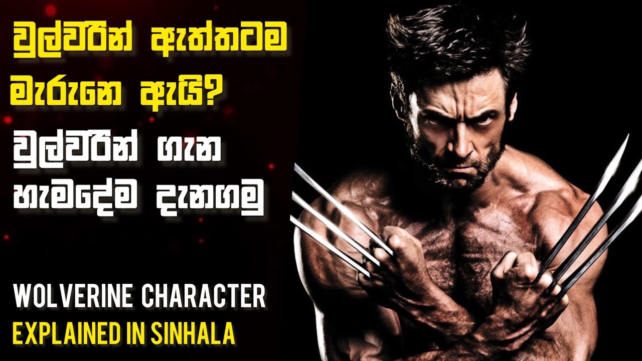Wolverine Character Breakdown!! Everything About Wolverine..