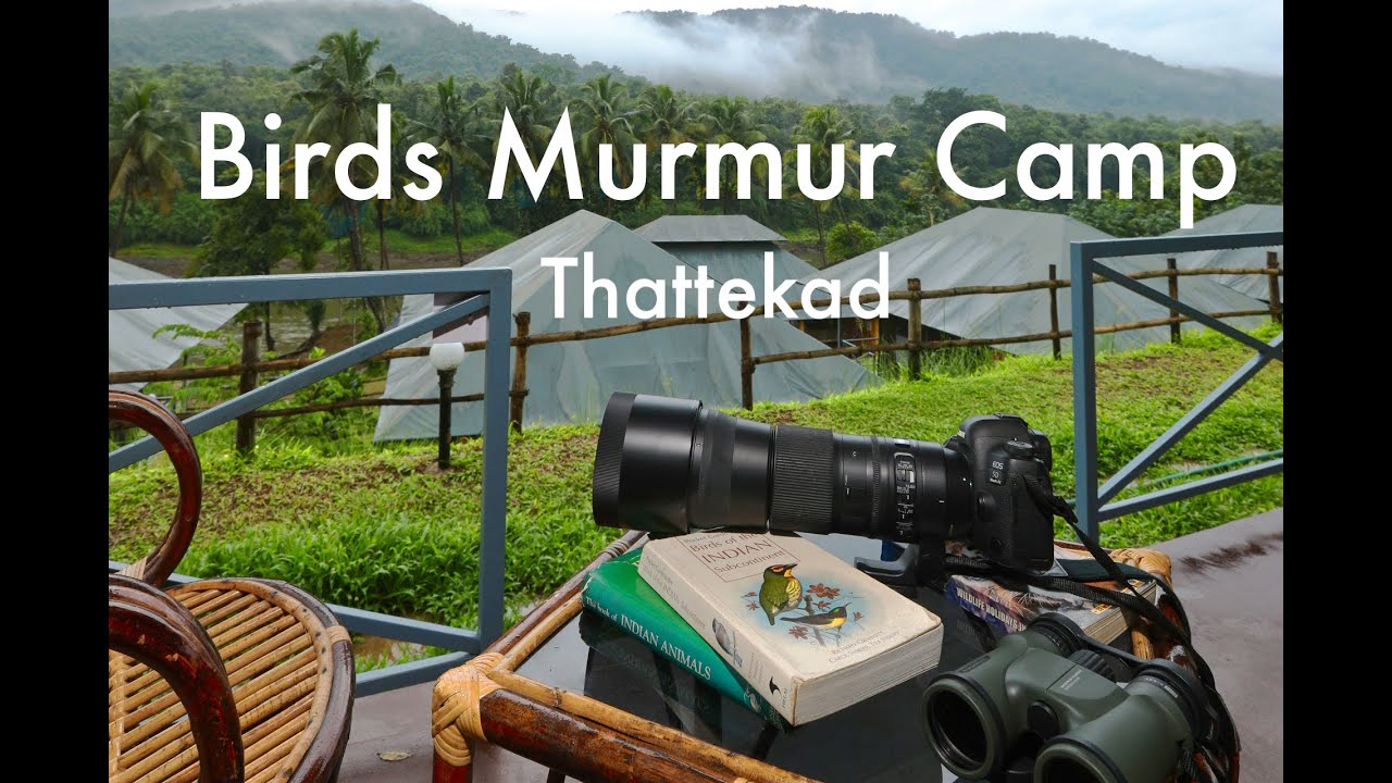 Birds Murmur Camp Thattekad