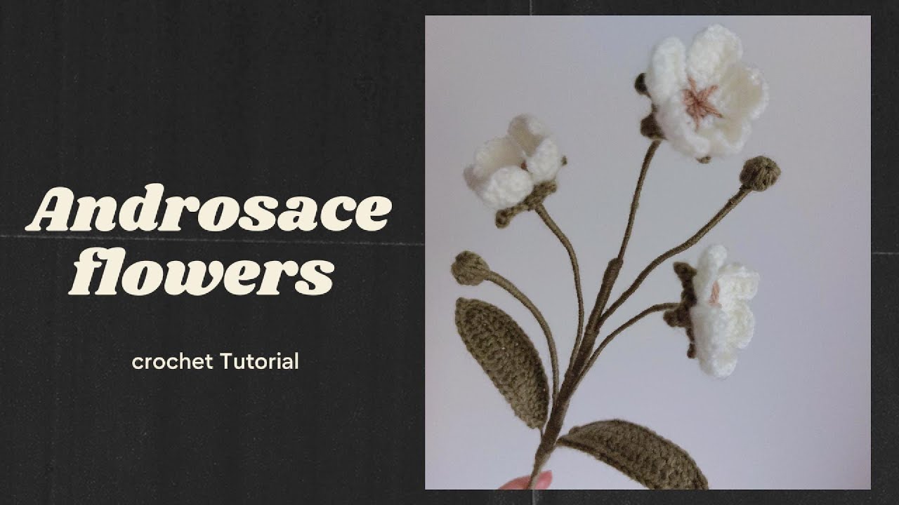Crochet Androsace Flowers Tutorial