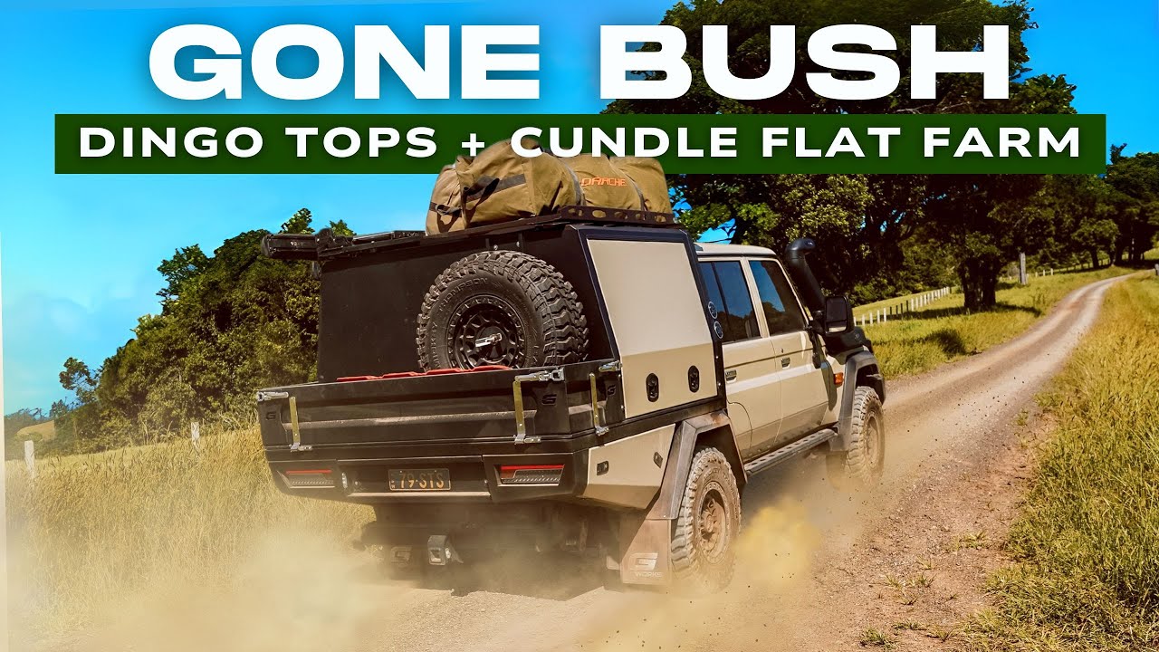 NSW BUSH CAMPING IN SWAGS | DINGO TOPS | CUNDLE FLAT FARM