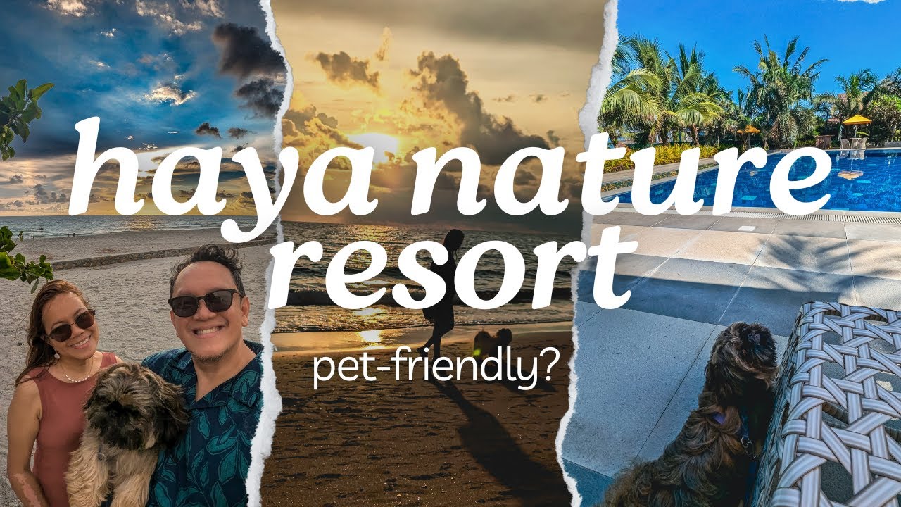 Haya Nature Resort: The Ultimate Pet-friendly Beach Experience!