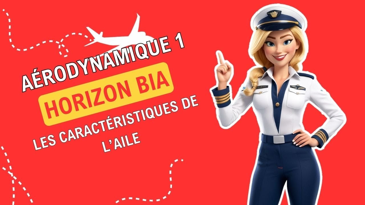 Exploration des Caractéristiques de l'Aile d'Avion et leur Influence sur le Vol