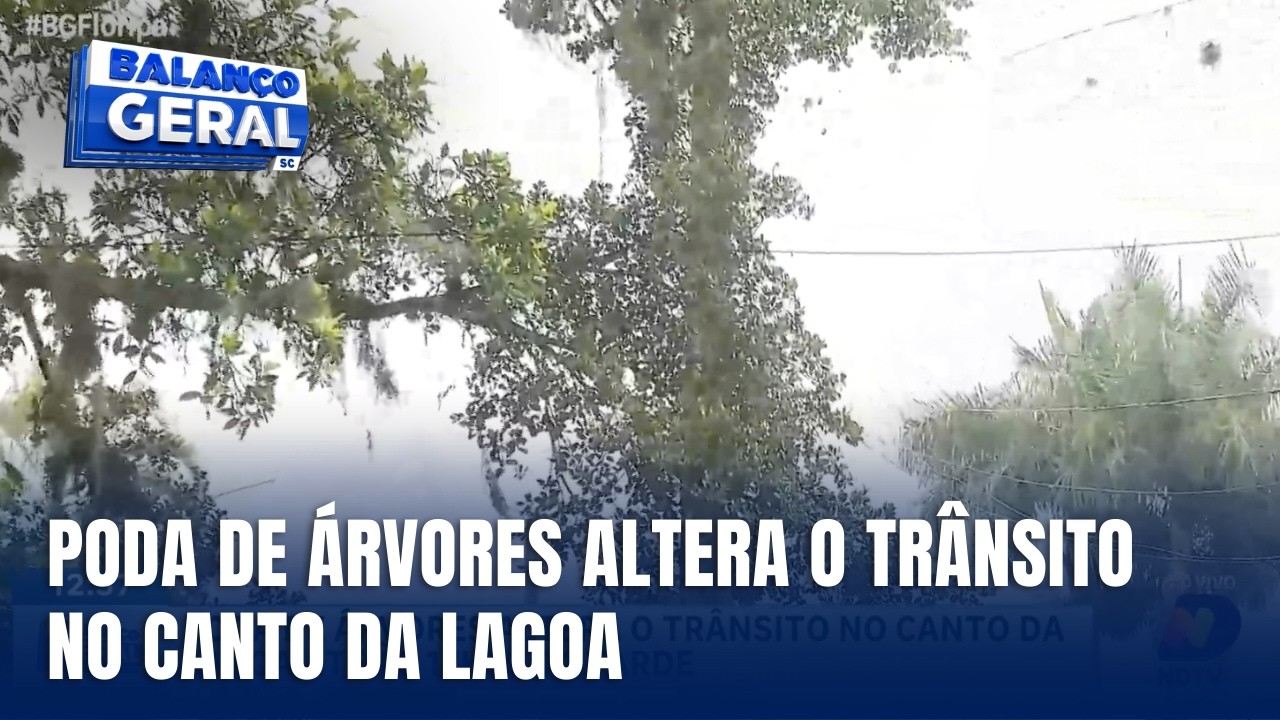 Poda de árvores altera trânsito no Canto da Lagoa nesta terça-feira (24)