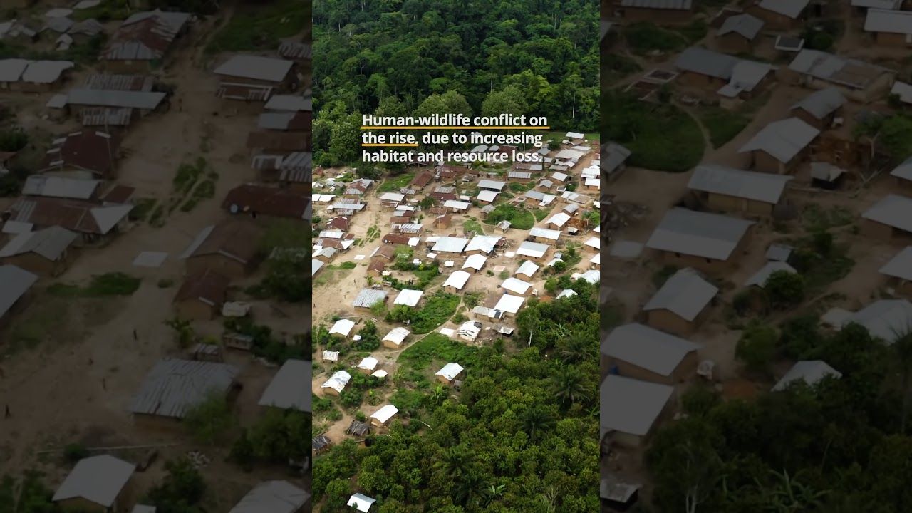 Human-Wildlife Conflict to Increase in Africa