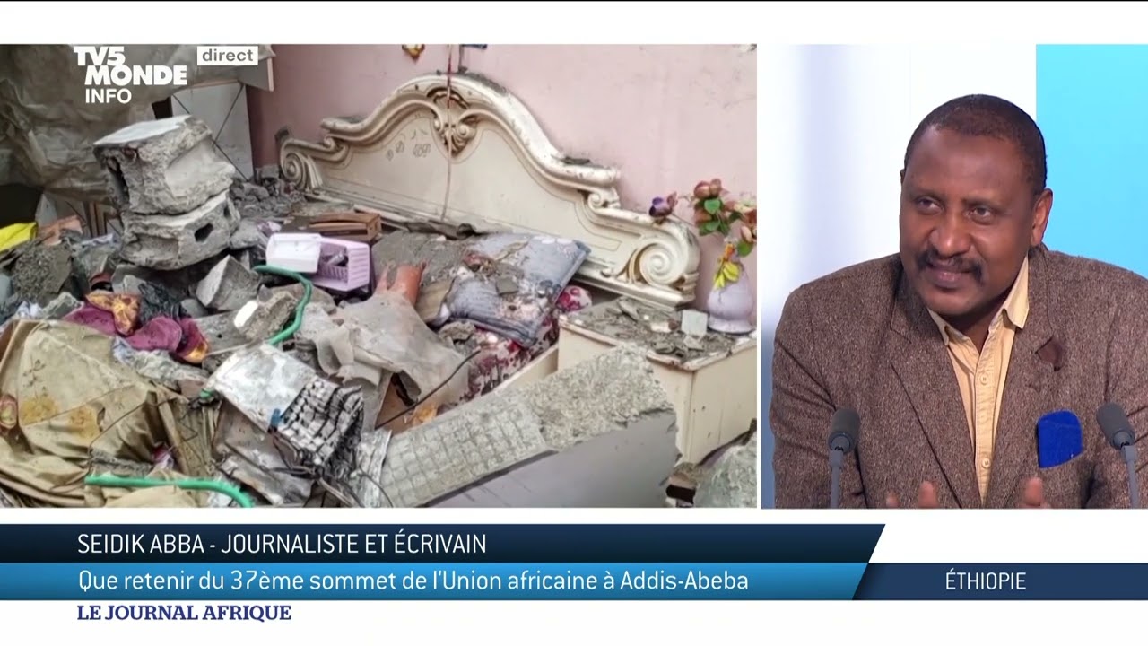 Sommet de l'UA : l'analyse