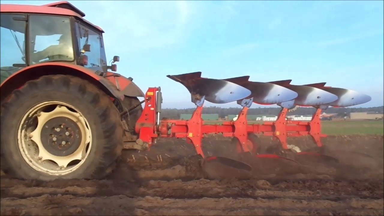 Orka po kukurydzy - Zetor 116-41