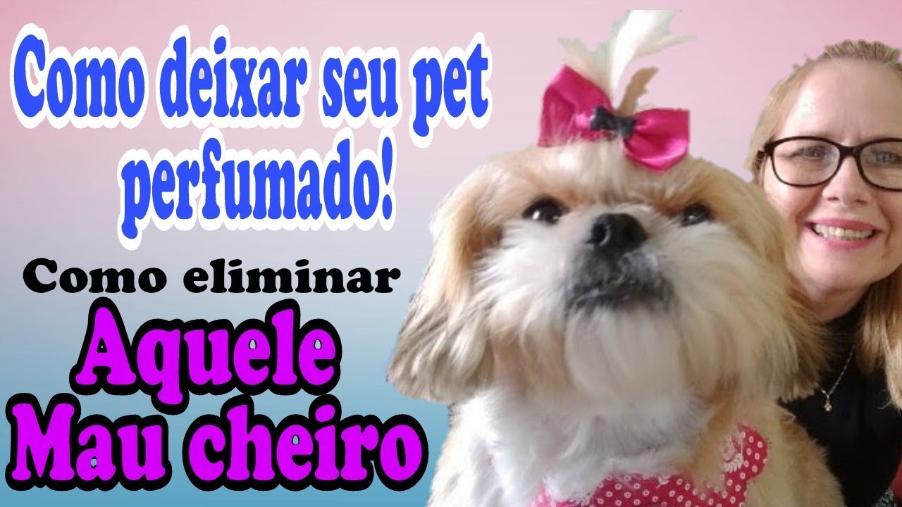 Como eliminar o mau  cheiro dos Cães (Inédito)
