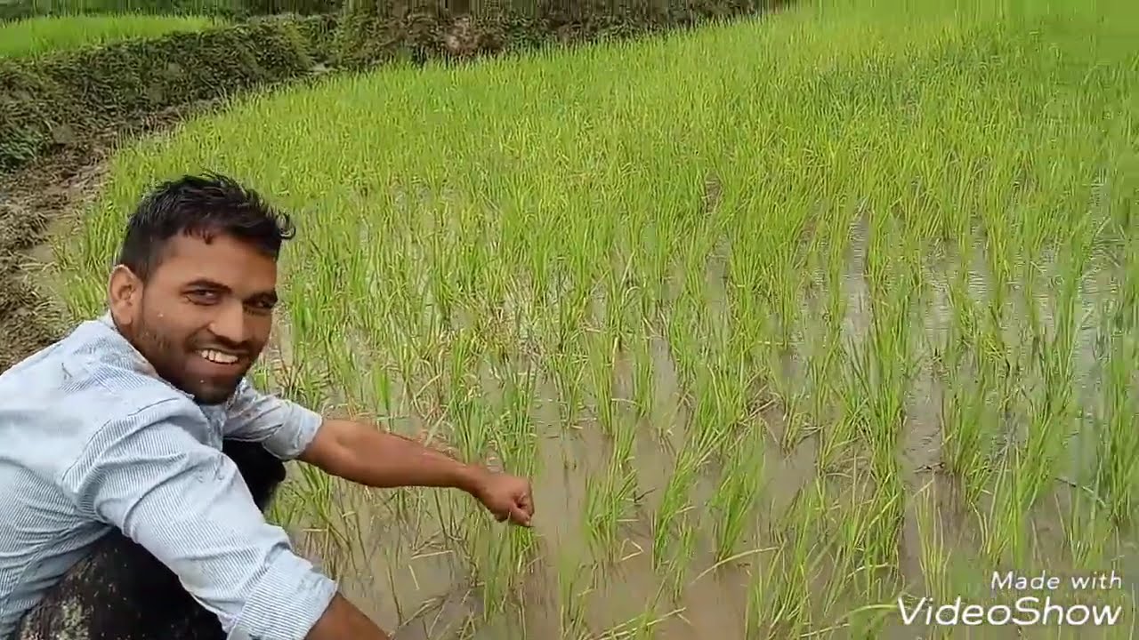 Sera hit gailyani garhwali song by 