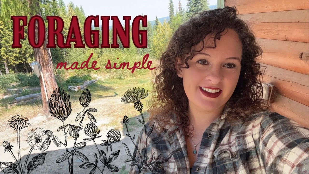 Как добывать корм для кроликов — травы, злаки и деревья бесплатно