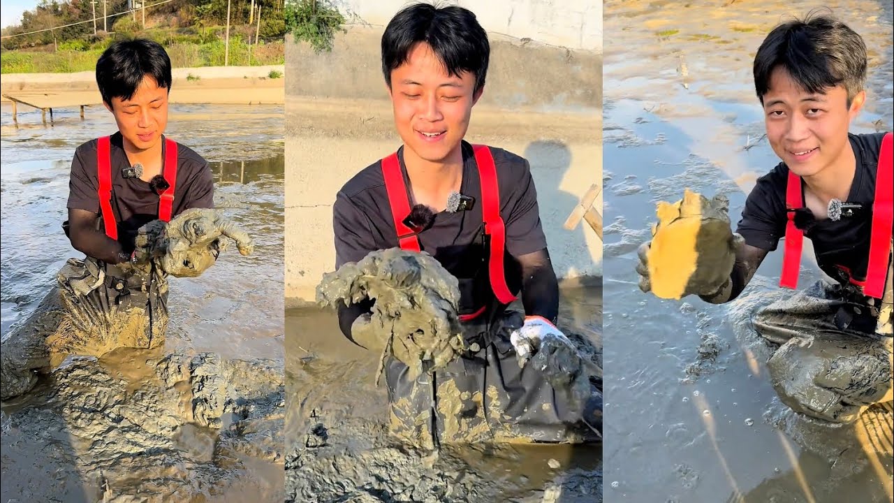 Bỏ 1000 tệ thầu ao săn ba ba: Lỗ hay trúng đậm