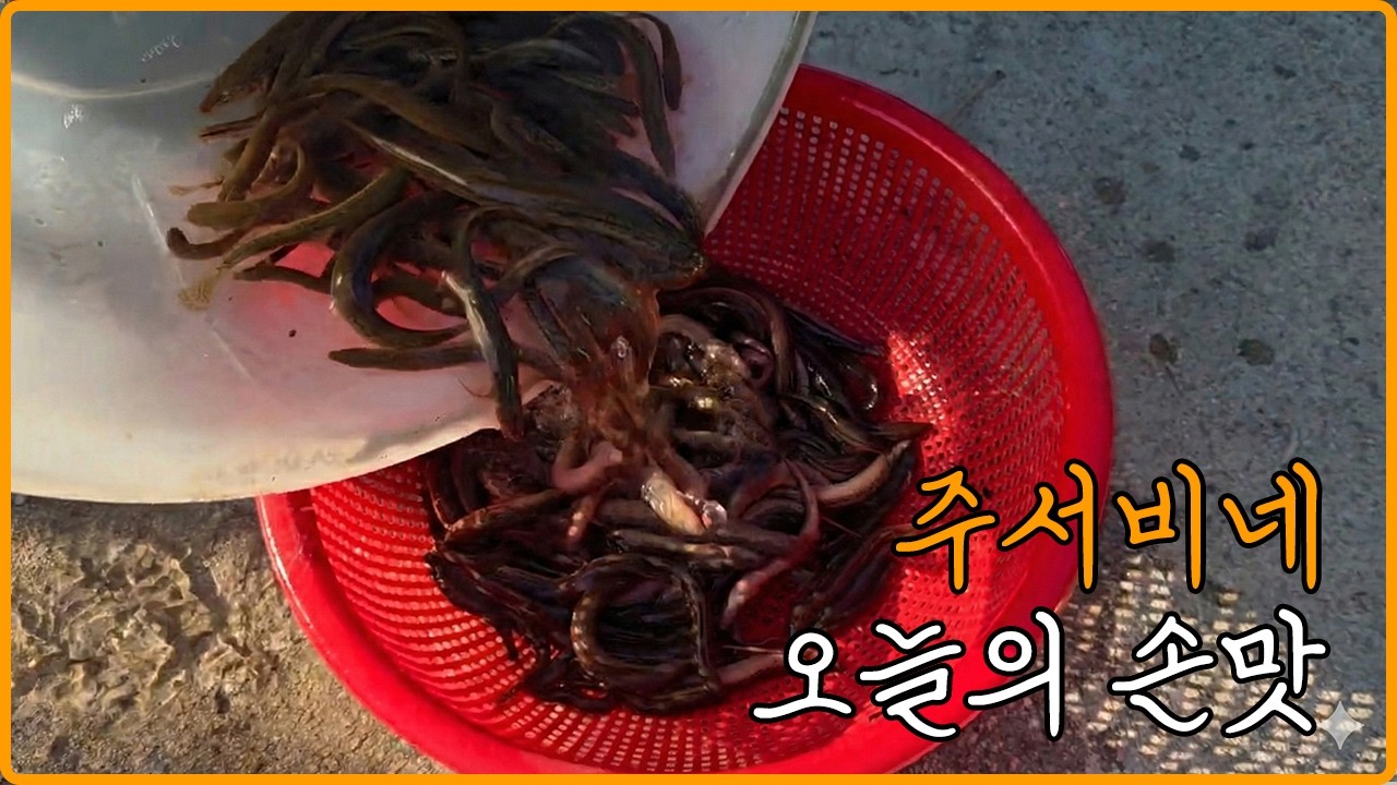 [주서비네]직접 잡은 미꾸라지로 한 상 차렸습니다🎣