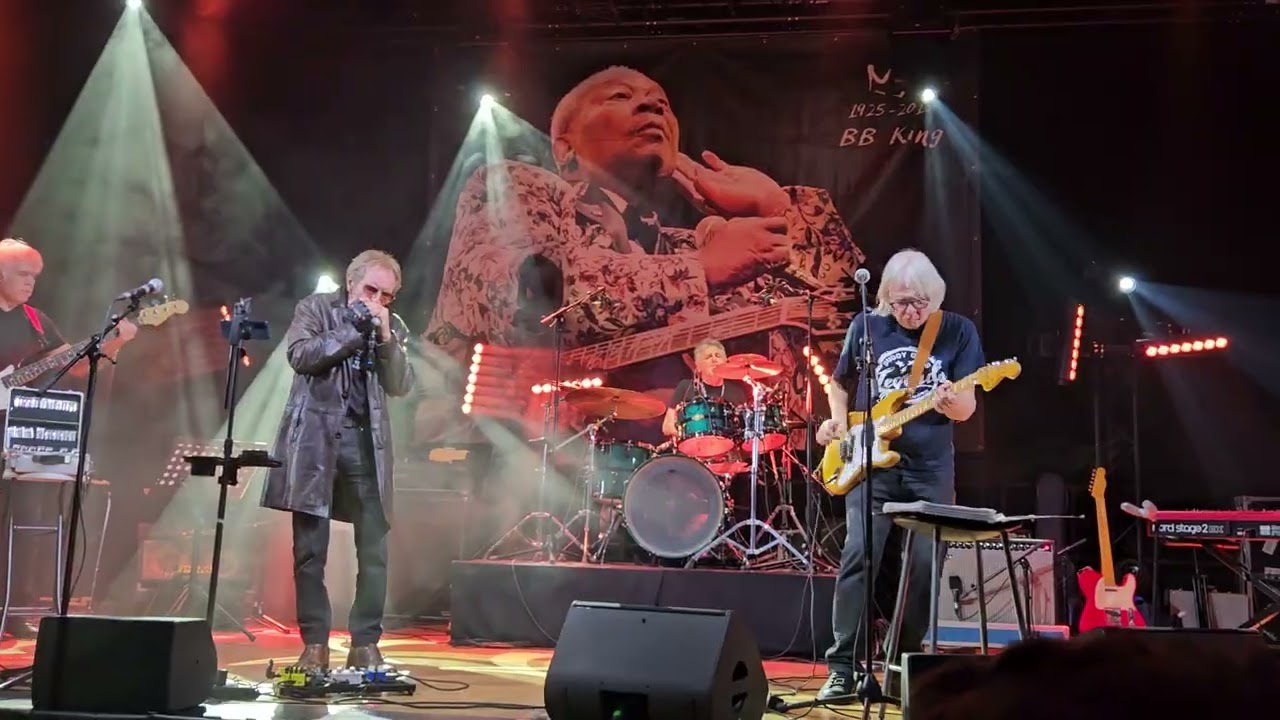 The GRYZZLYS Festival Blues 🎶💥