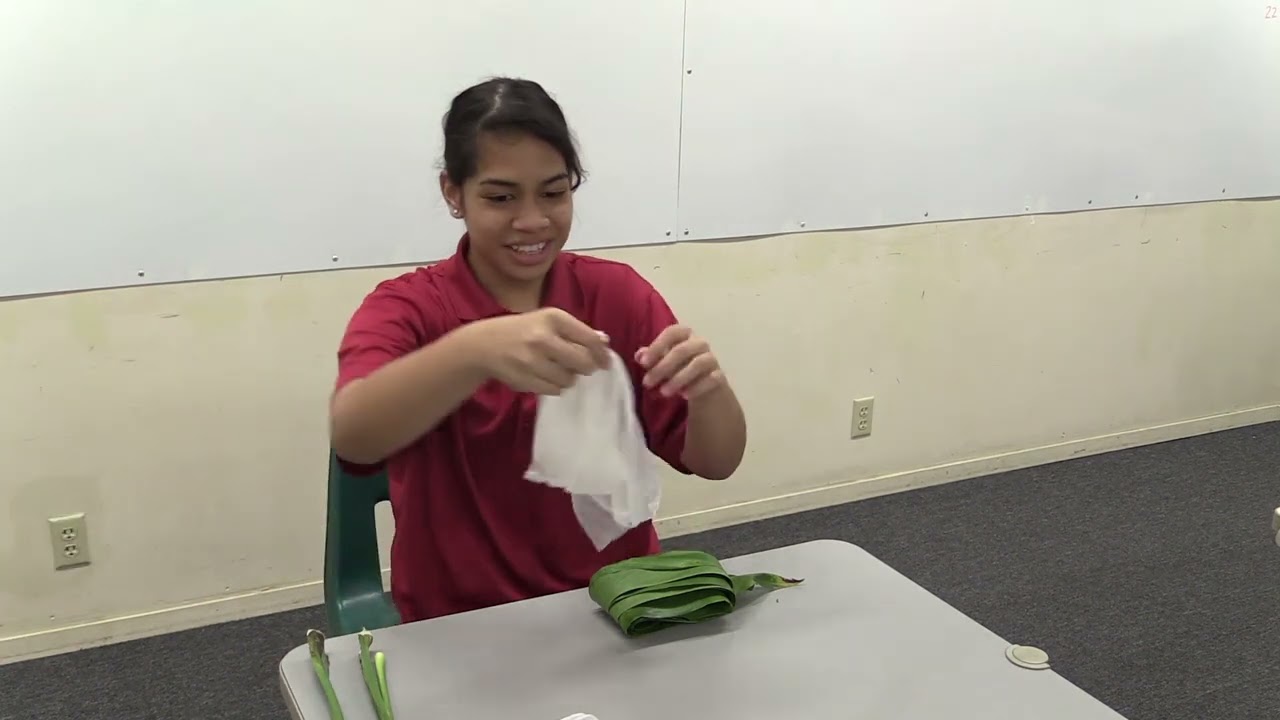 How to Videos (SY 21-22) Ka Waihona Studios