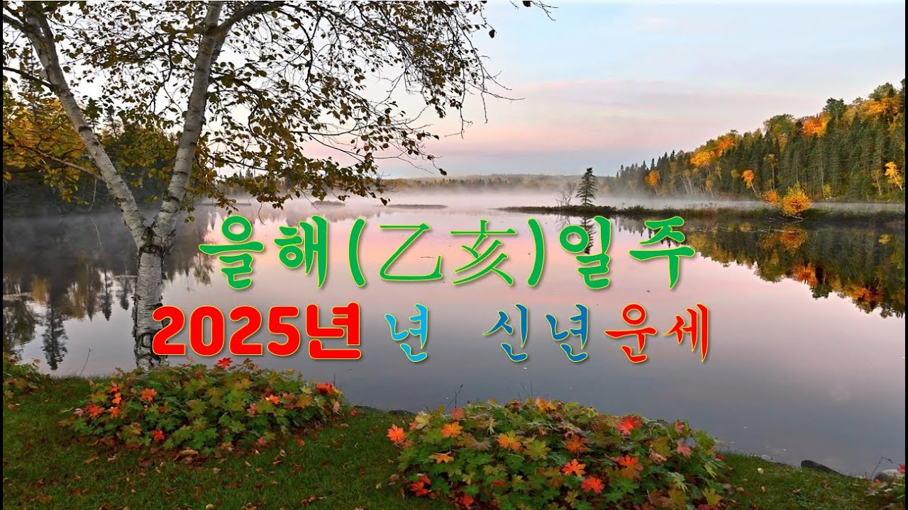 을해일주, 2025년 을사년 신년운세 사주분석