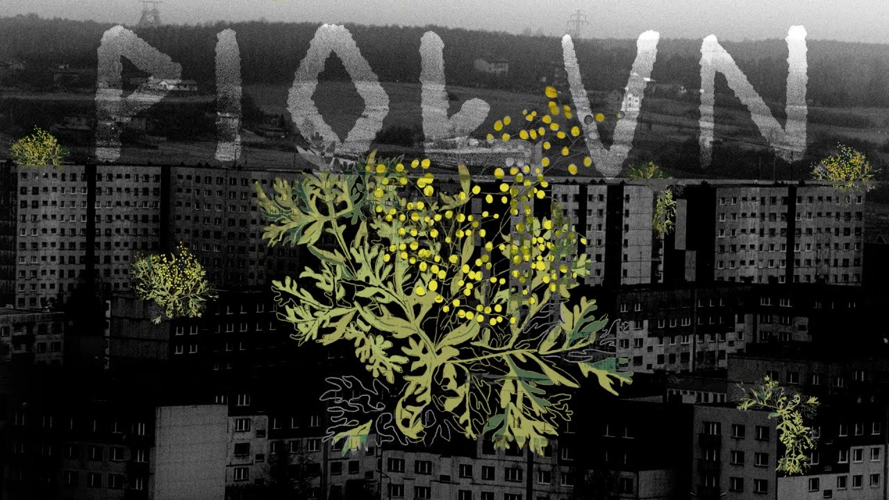 SOLURA - Piołun