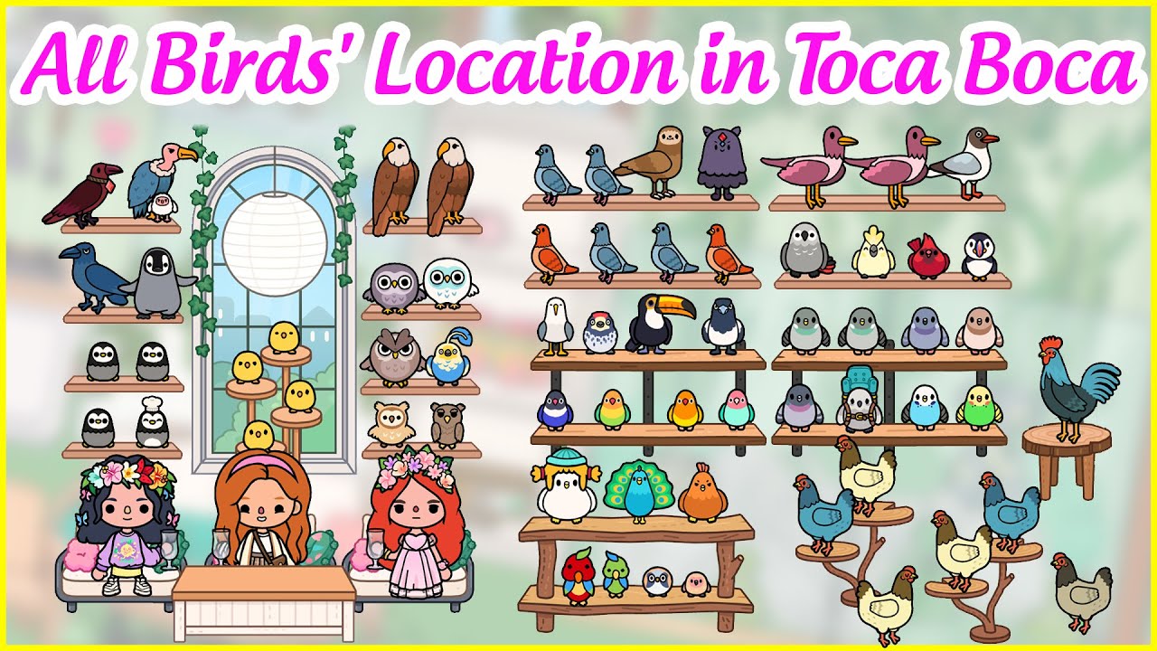 All Birds' Location in Toca Life World | Toca House Ideas | Toca Amore TV