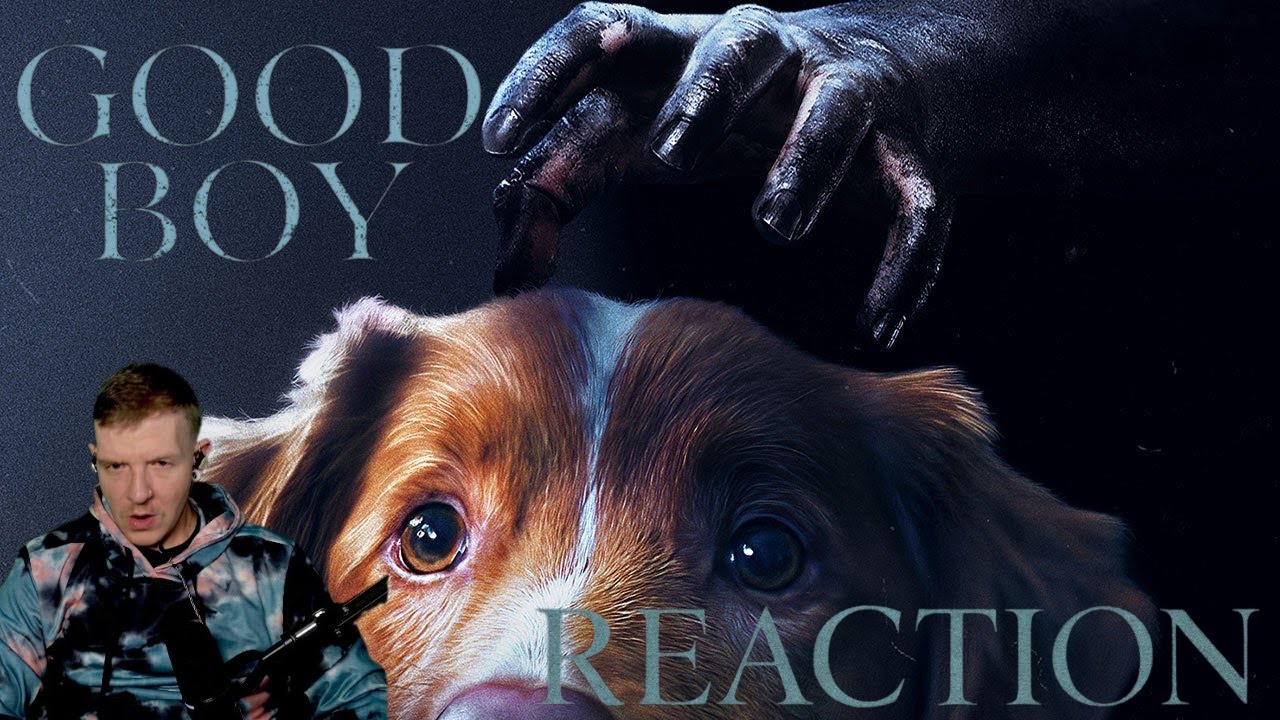 We Don't Deserve Dogs - Good Boy Reaction
