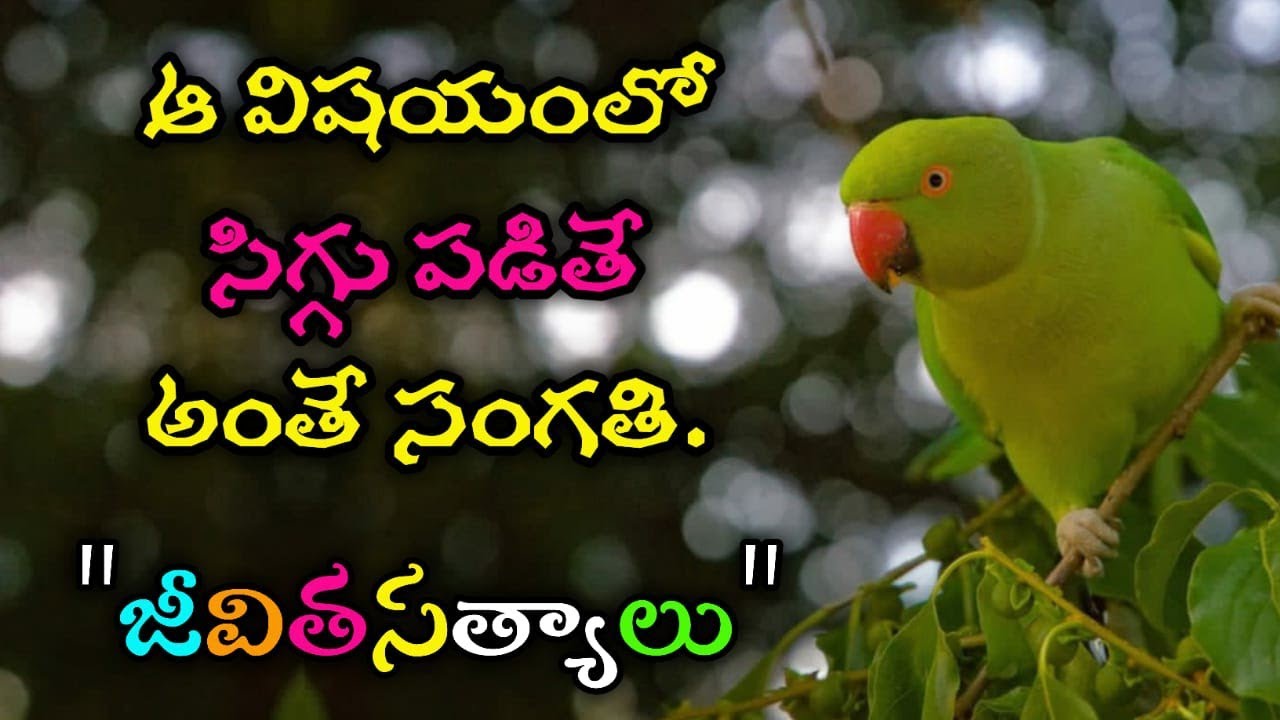 జీవిత సత్యాలు #298 |మంచి మాటలు|Inspirational quotes|Motivational quotes|సూక్తులు|Telugu quotes