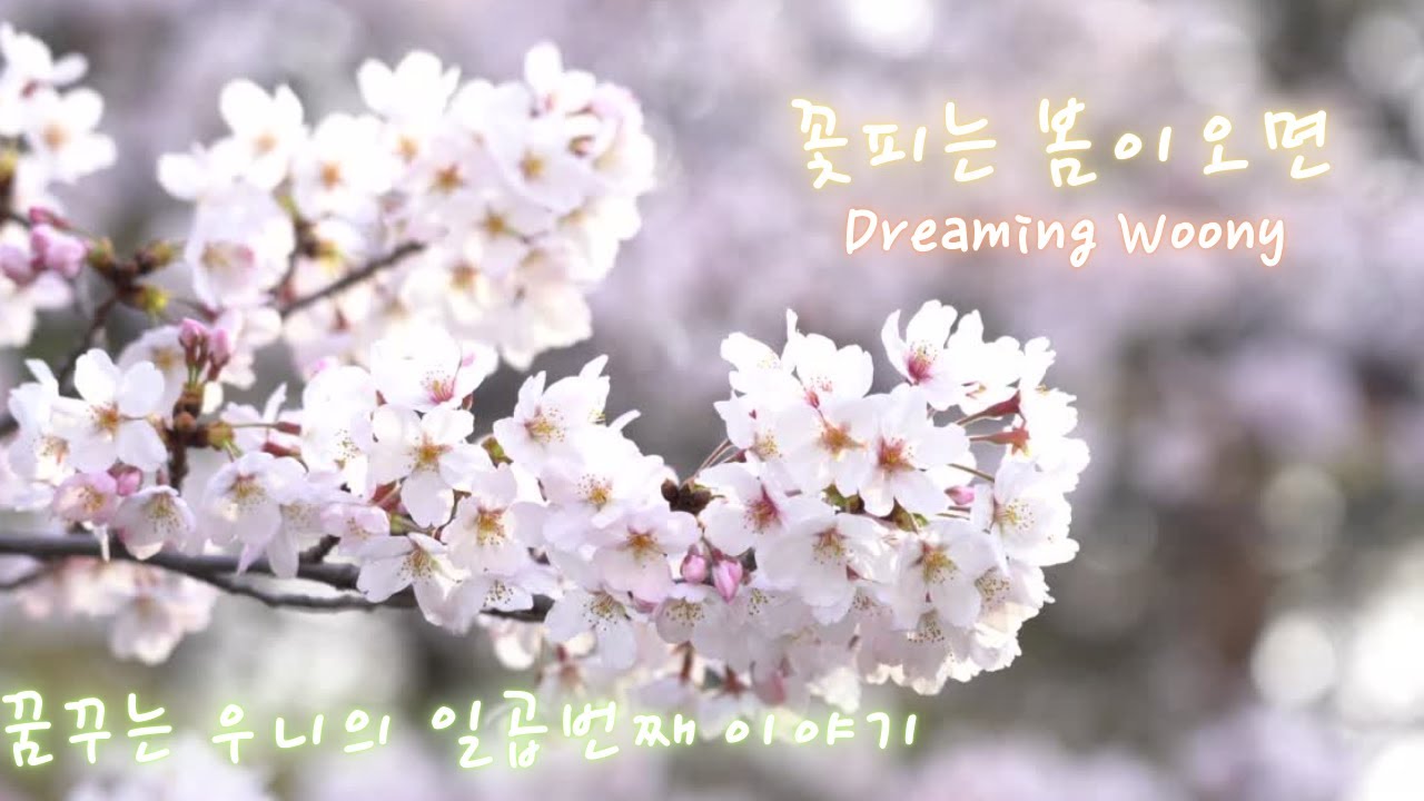 꽃피는 봄이 오면...꿈꾸는 우니의 일곱번째 이야기