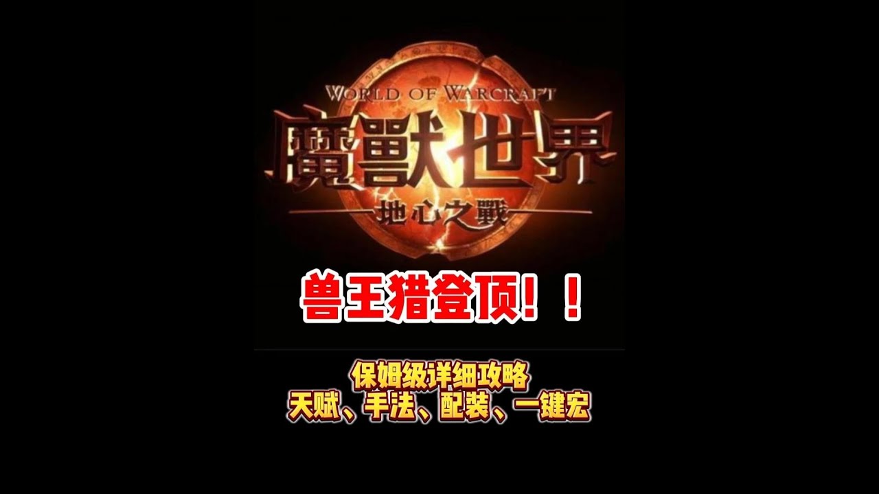 11.2兽王猎保姆级攻略！包括天赋，输出手法，一键宏，配装！#兽王猎 #兽王猎一键宏 #兽王猎天赋 #兽王猎人一键输出宏 #兽王猎人