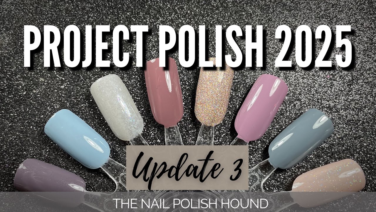 Project polish Update 3 (May & June) 2025