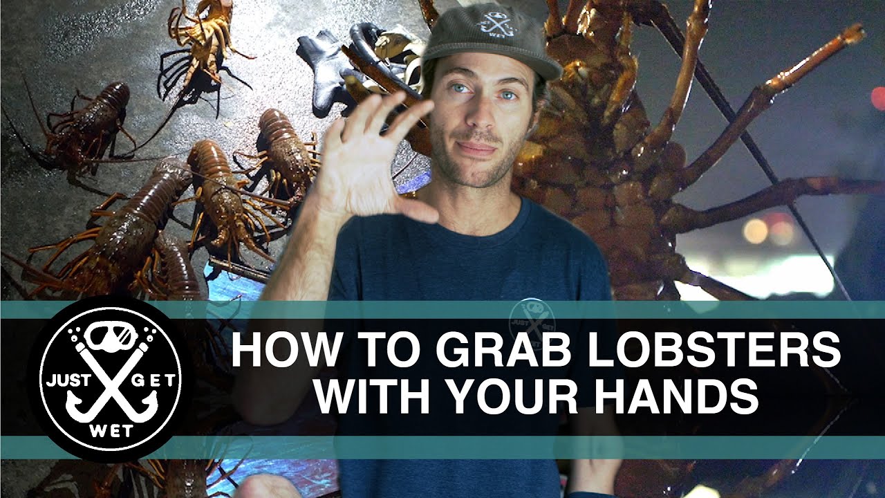 How To Grab a Lobster - Check the Technique