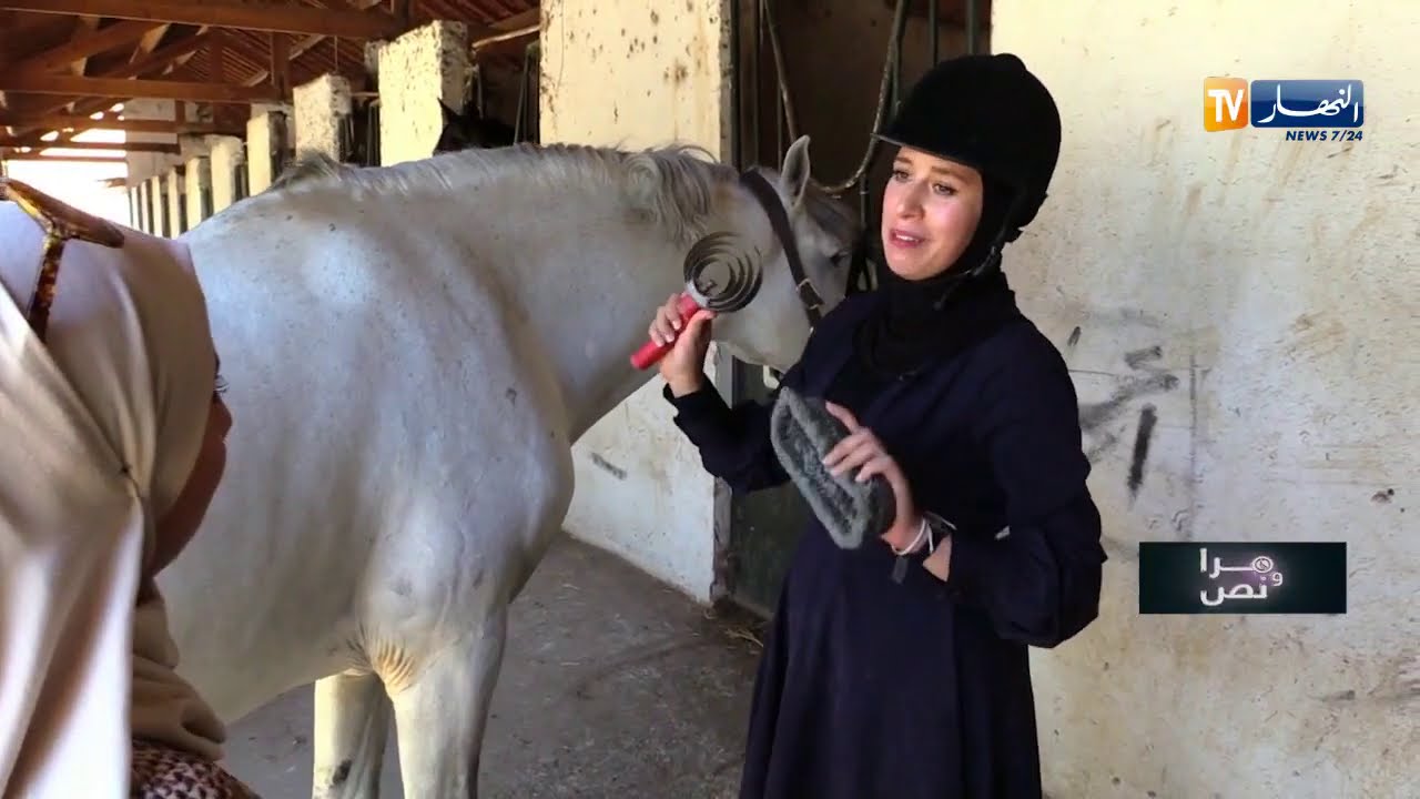 مرا ونص.. هبة أستاذة  متعددة المواهب وتهوى ركوب الخيل