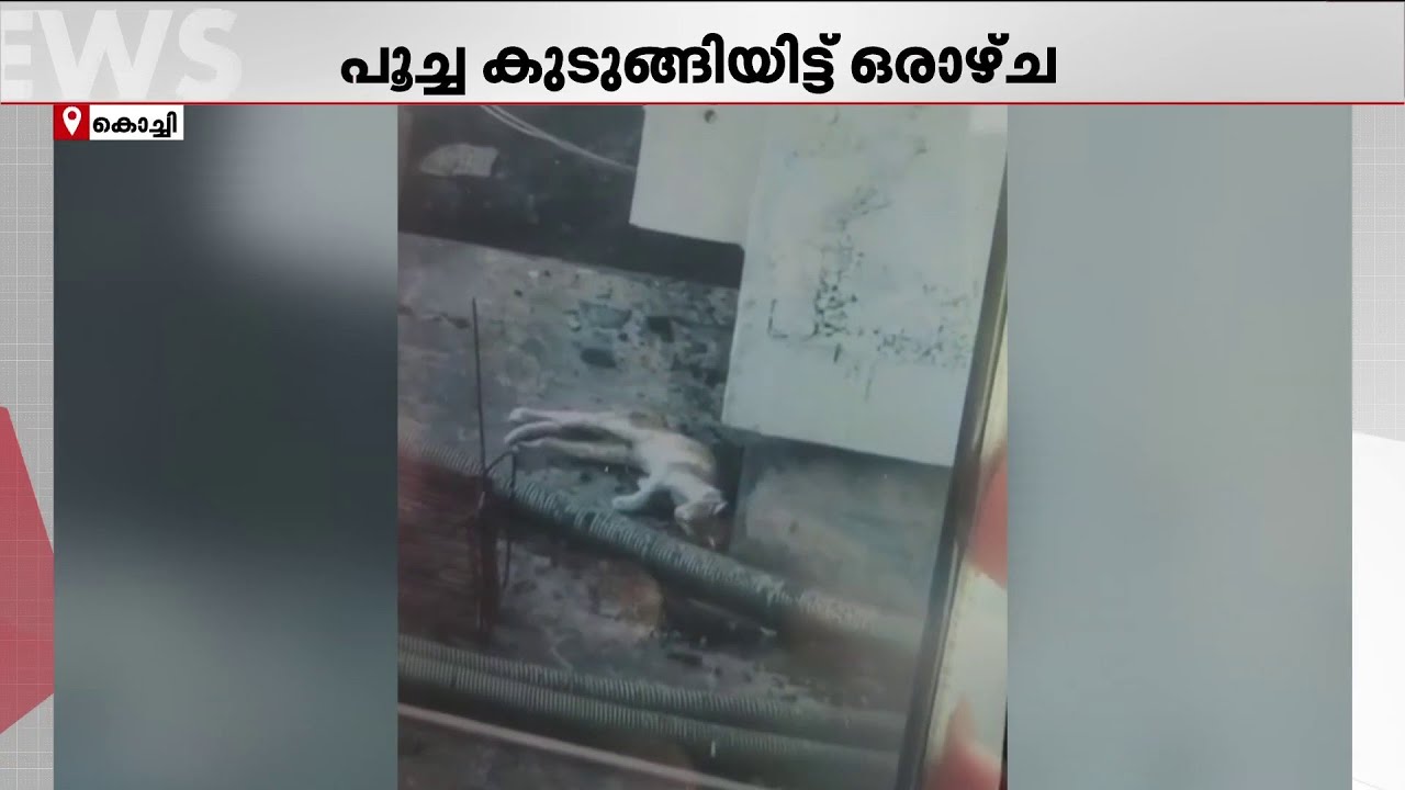 കുടുങ്ങിയിട്ട് ഒരാഴ്ച ! മെട്രോ പില്ലറിൽ കുടുങ്ങിയ പൂച്ചയെ രക്ഷിക്കാനുള്ള ദൗത്യം രാത്രി